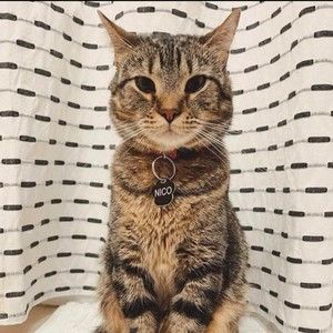 Meet your Posher, Jodi